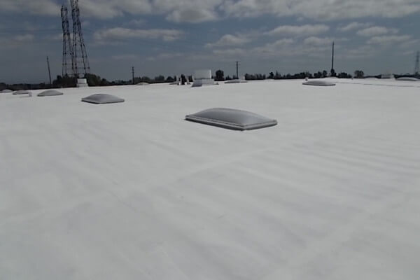 MAP Sports – New Warehouse Roof