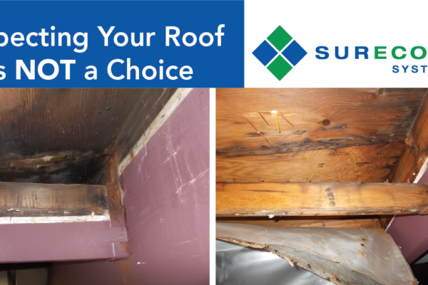 Inspecting Your Roof is Not a Choice, it’s a Must.